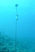 Acoustic receiver deployed in Townsville area