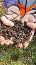 The plastic shells from polymer coated urea persist for more than 12 months in the field.