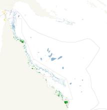Seagrass meadows in the northeast Australian seascape
