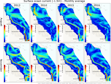 Monthly surface current for August and November in the GBR and Western Coral Sea