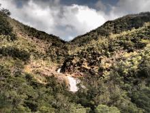 Typical waterfall sampling site