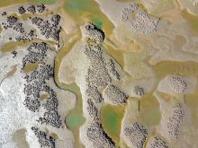 Aerial footage of oyster reefs, credit Robert Porter