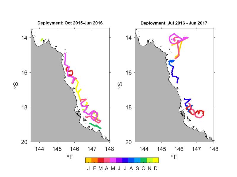 Trajectories of glider deployments