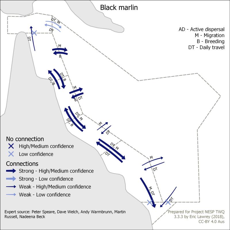 Black marlin