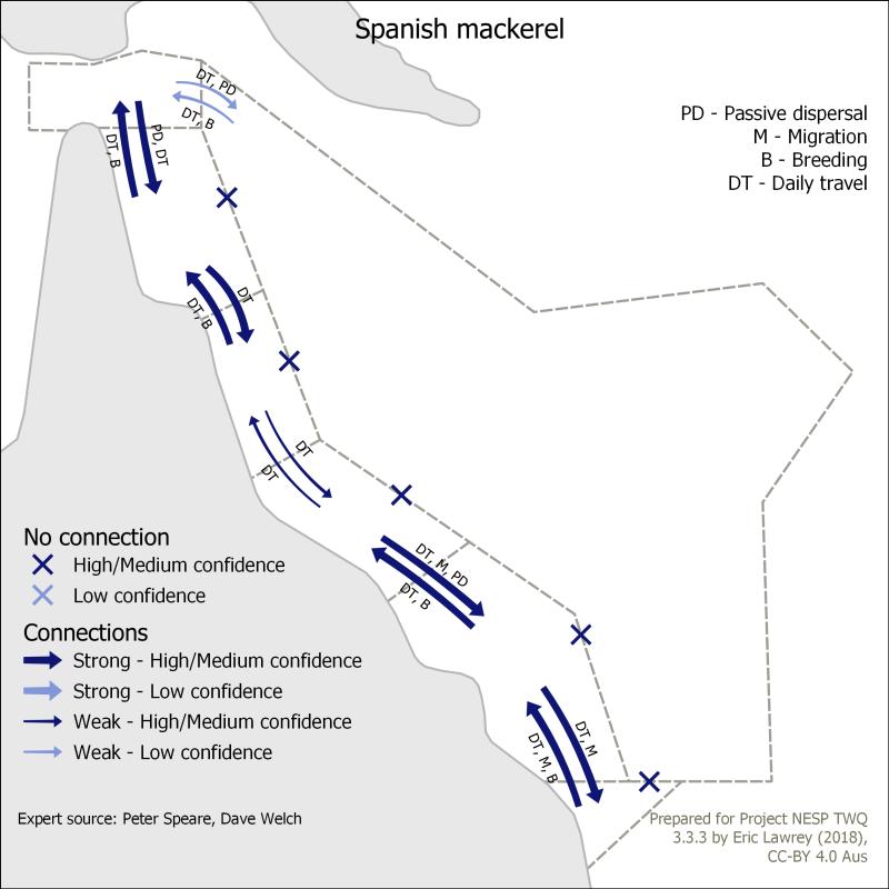 Spanish mackerel