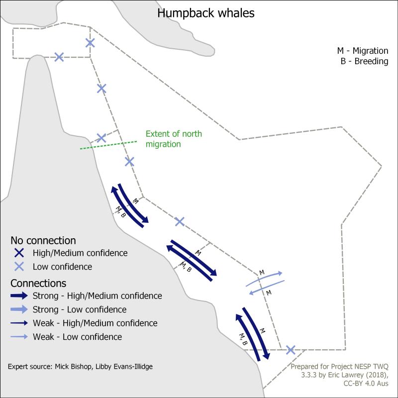 Humpback whales