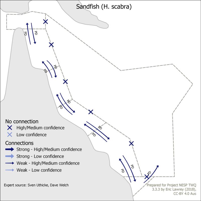 Sandfish (H. scabra)