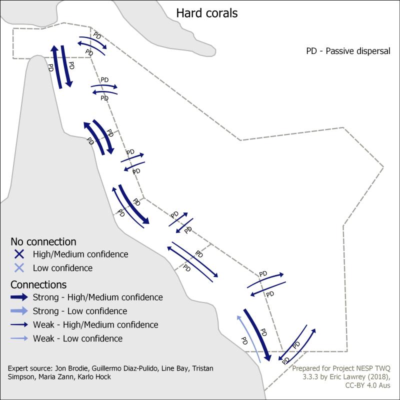 Hard corals