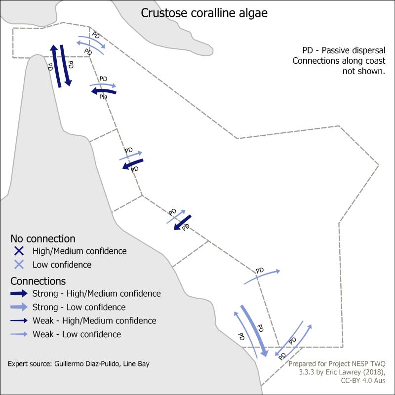 Crustose coralline algae