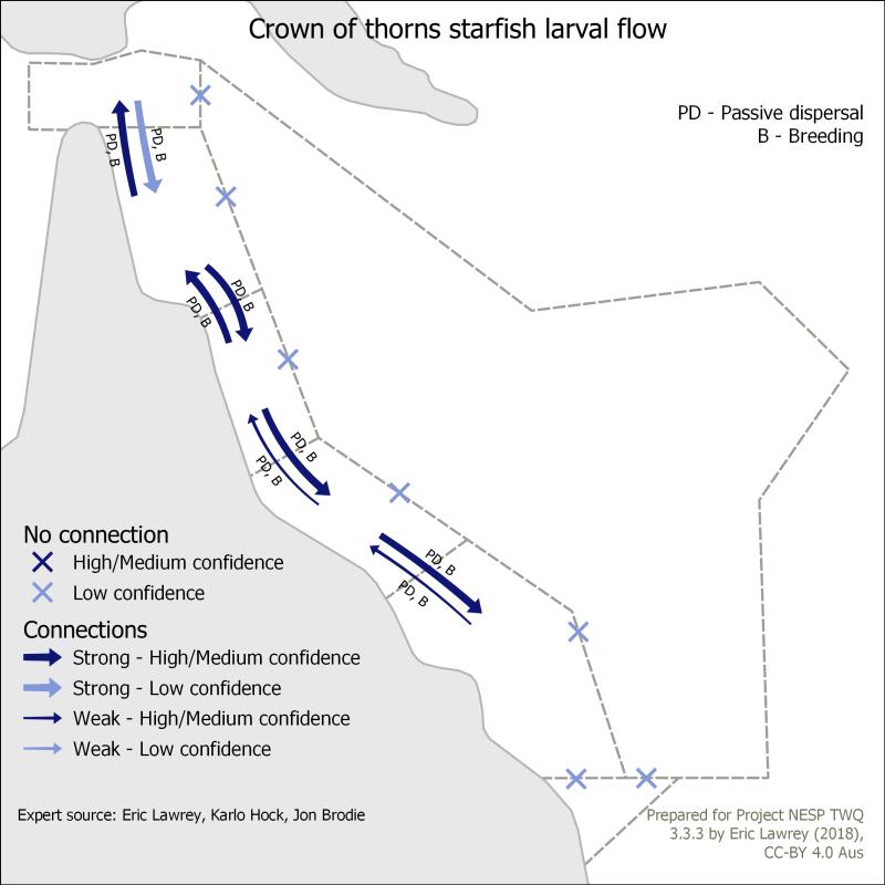 Crown of thorns starfish larval flow