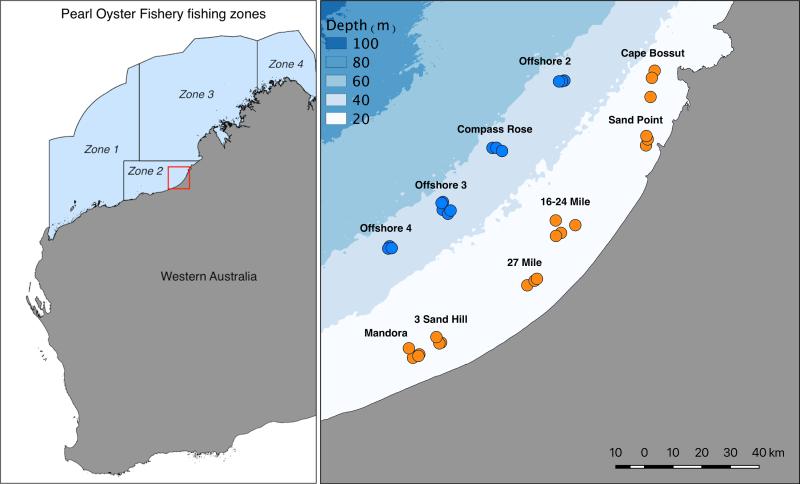 Map of sampling locations for the silverlip pearl oyster Pinctada maxima in the Eighty Mile Beach area