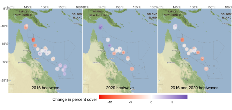 Changes in hard coral cover between 2016 - 2020