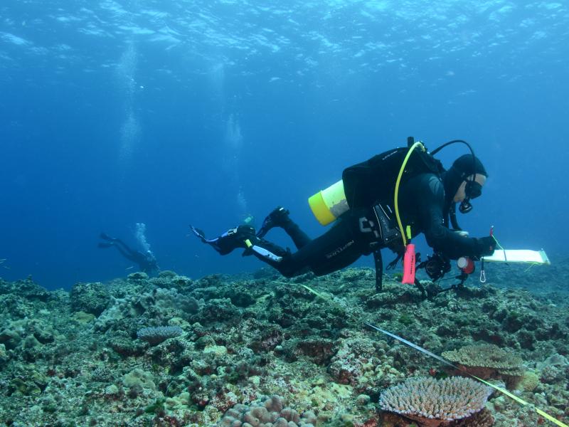 Middleton Reef, Lord Howe Marine Park