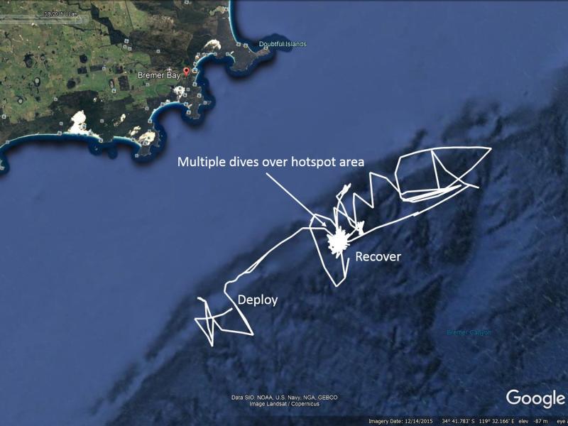 GPS track of the Sea Glider