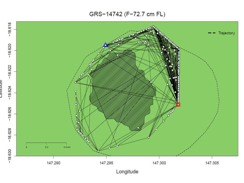 Grey Reef Shark Acoustic Tracking Trajectory (Helix Reef)