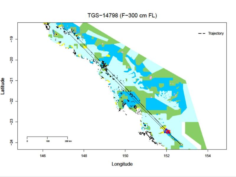Tiger shark tracking map