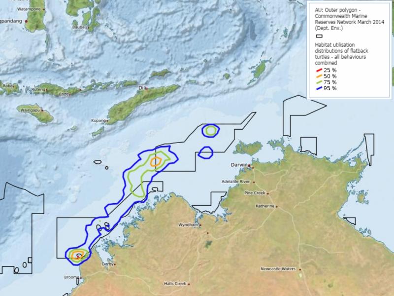 Habitat utilisation distributions of flatback turtles in the Kimberley marine region