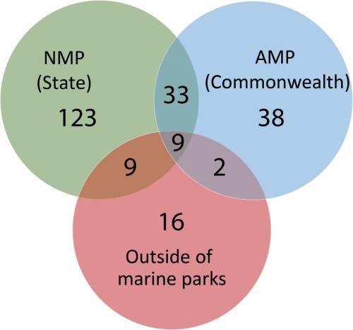 Venn diagram showing the overlap of sponge biodiversity 