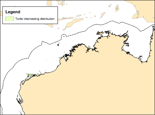 Marine turtles during the inter-nesting period