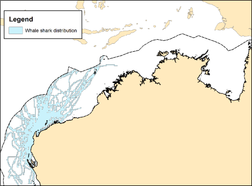 Area used by whale sharks