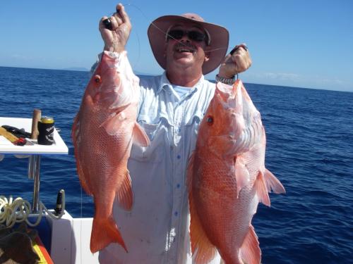 Catch of Large-mouth "nannygai" (lutjanus malabaricus)
