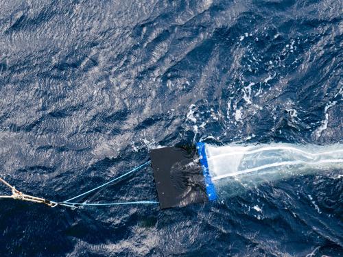 Manta net