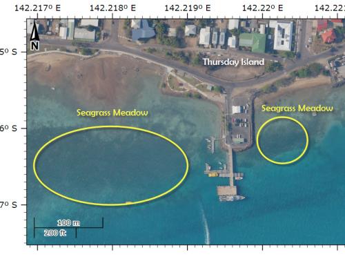 Seagrass meadow visible in aerial Image of Thursday Islannd 2011