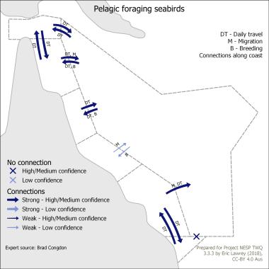 Pelagic foraging seabirds