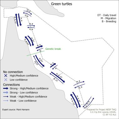 Green turtles