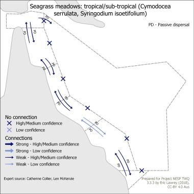 Seagrass meadows: tropical/sub-tropical (Cymodocea serrulata, Syringodium isoetifolium)