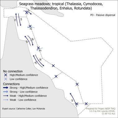 Seagrass meadows: tropical (Thalassia, Cymodocea, Thalassodendron, Enhalus, Rotundata)