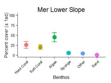 Mer Reef Lower Slope Benthic Group Graph
