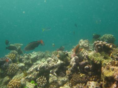 Waier And Dauar Reef front