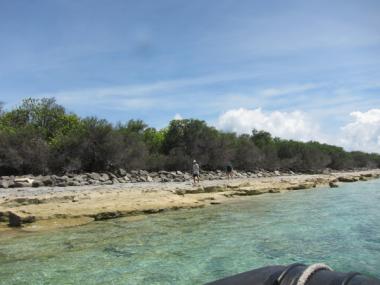 Kabbikane Reef back