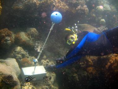 Erub Reef