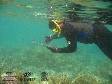 Erub Reef