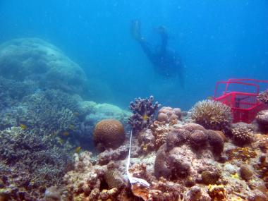 Poruma Reef