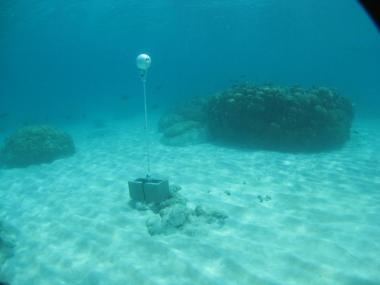 Bramble Cay - Torres Strait Temperature Logger (Flat Logger: BRAMBLEFL1)