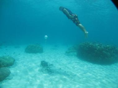 Bramble Cay - Torres Strait Temperature Logger (Flat Logger: BRAMBLEFL1)
