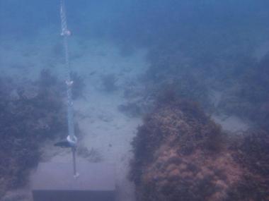 Dugong Island - Torres Strait Temperature Logger (Flat Logger: DUGONGFL1)