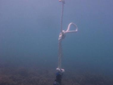Moa Island - Kubin - Torres Strait Temperature Logger (Flat Logger: KUBINFL1)