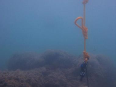 Mabuiag Island - Torres Strait Temperature Logger (Flat Logger: MABUIAGFL1)