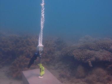 Booby Island - Torres Strait Temperature Logger (Slope Logger: BOOBYSL1)