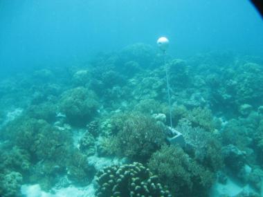 Bramble Cay - Torres Strait Temperature Logger (Slope Logger: BRAMBLESL1)