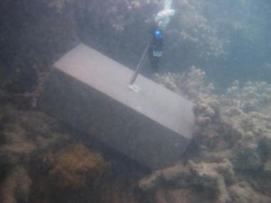Cherepo Island - Torres Strait Temperature Logger (Slope Logger: CHEREPOSL1)
