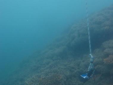 Mabuiag Island - Torres Strait Temperature Logger (Slope Logger: MABUIAGSL1)