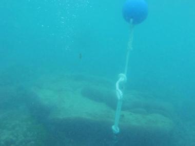 Twin Island - Torres Strait Temperature Logger (Slope Logger: TWINSL1)