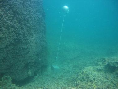 Iama Island - Yam - Torres Strait Temperature Logger (Slope Logger: YAMSL1)