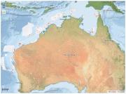 CMR_dermsal-sharks-and-rays.JPG