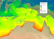 How does ocean temperature vary across the Oceanic Shoals CMR and beyond?